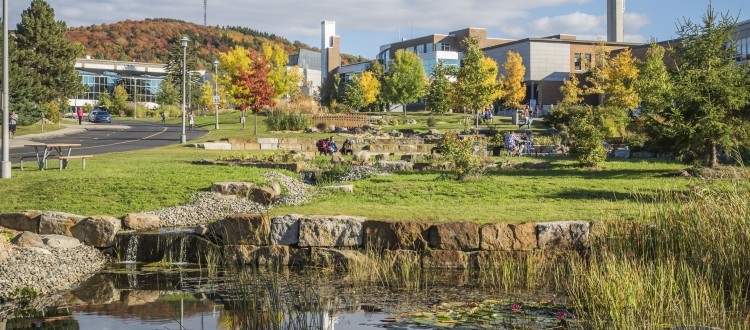 L'Université de Sherbrooke et ses trésors verts