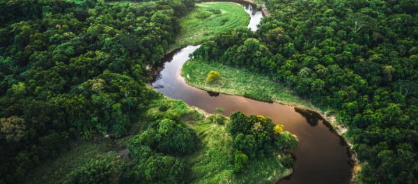 Incontournables à voir en Guyane